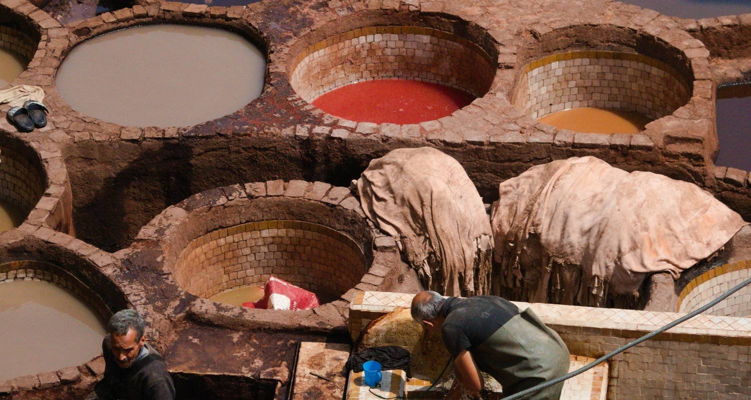 Fes medina tannery Morocco travel guide