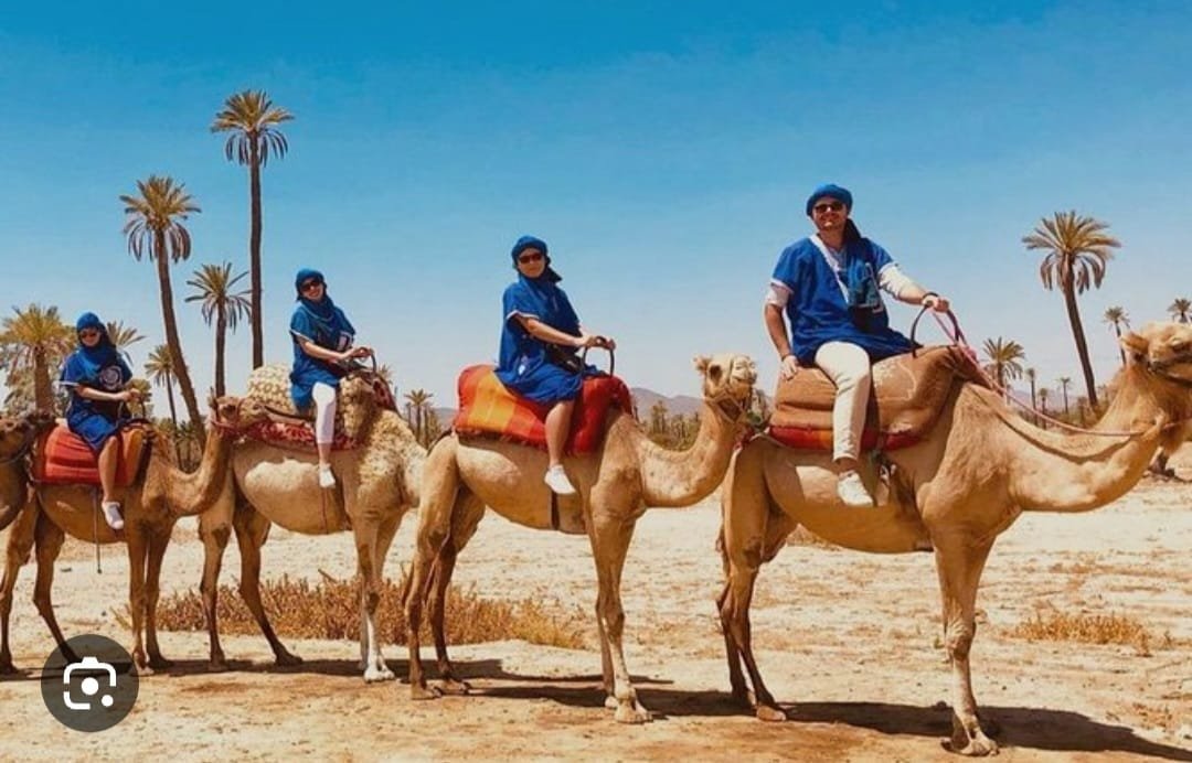 Camel Ride