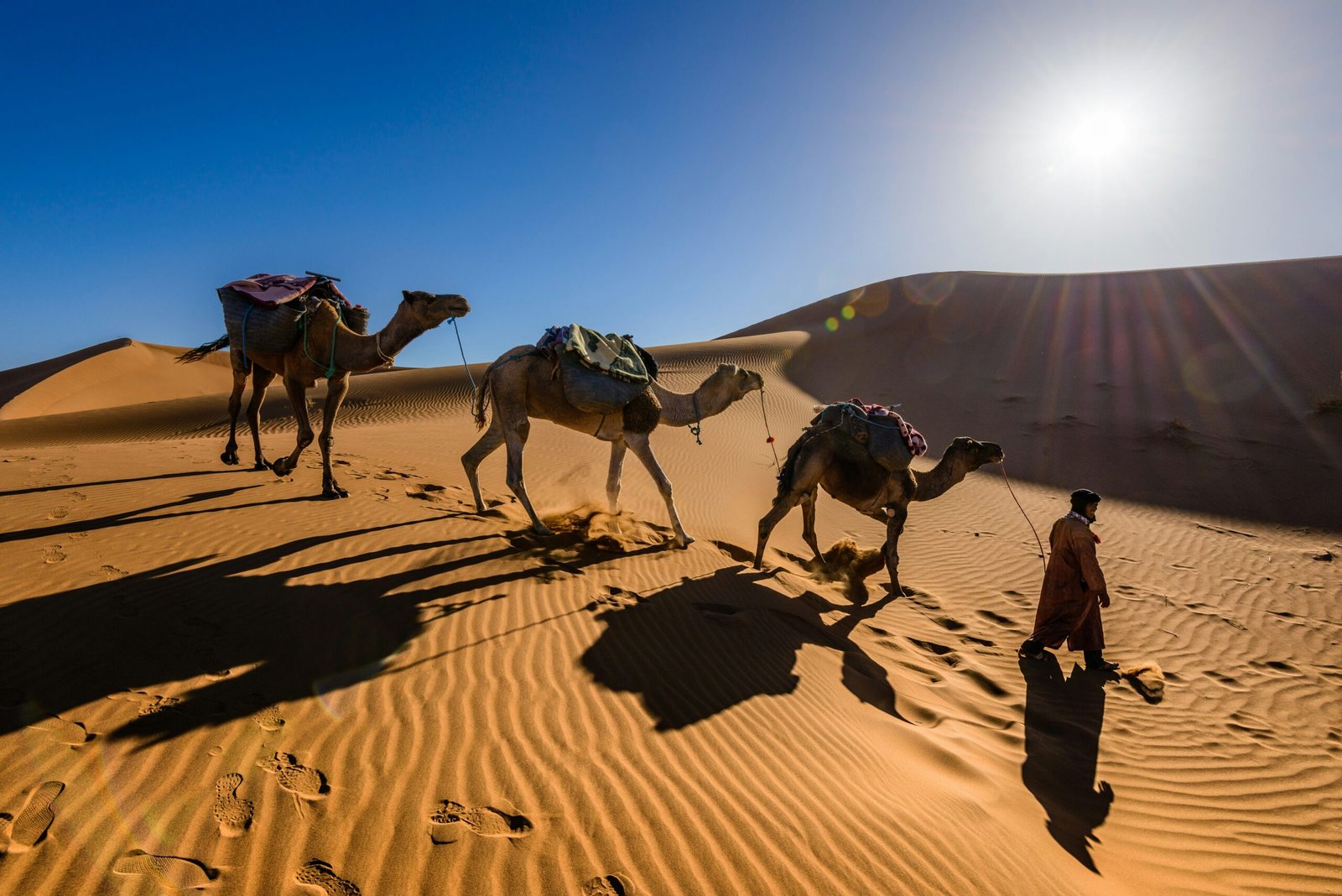 camel trek Sahara desert Morocco best things to do