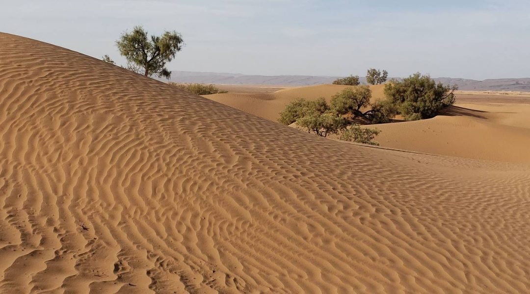 Moroccan desert
