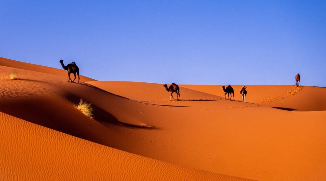 Moroccan desert