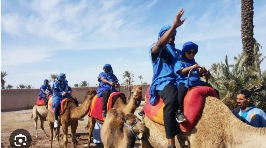 Camel Ride