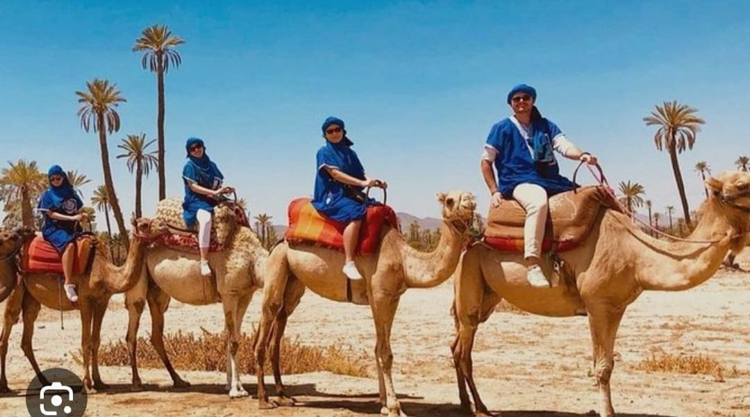 Camel Ride