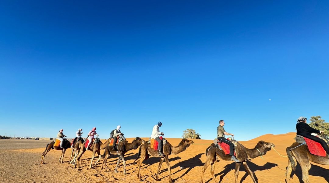 WhatsApp Image 2025-11-13 at 17.20.17