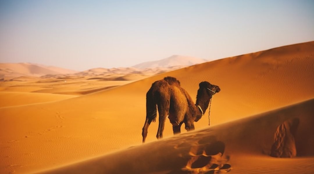 Moroccan desert